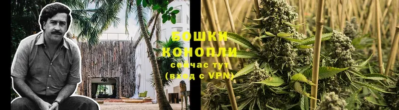 даркнет сайт  Артёмовский  Конопля OG Kush 